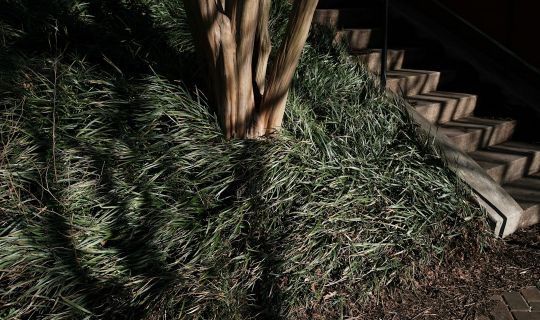How to Choose solar lawn lights for garden pathway: Practical Guide and Common Questions