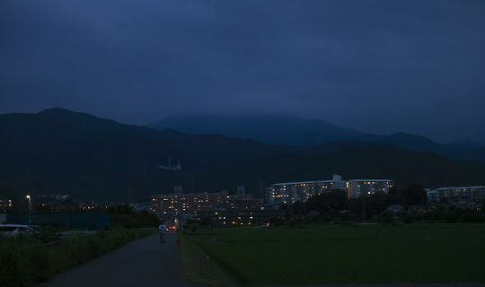 How to Choose solar garden lights for residential community landscape: Practical Guide and Common Questions